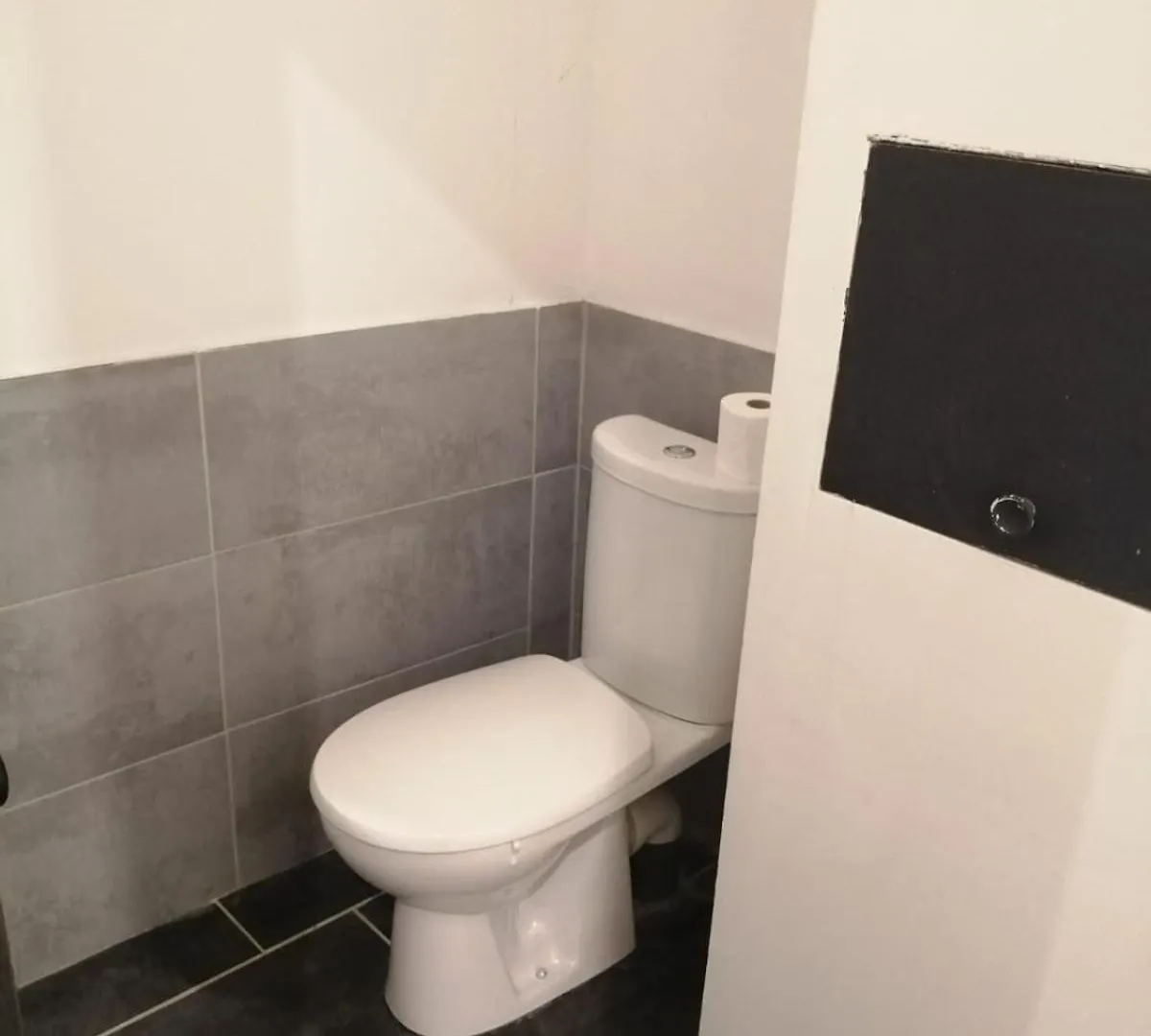 Loft Viarhona, Grand Loft En Centre-Ville Lyon 0*,