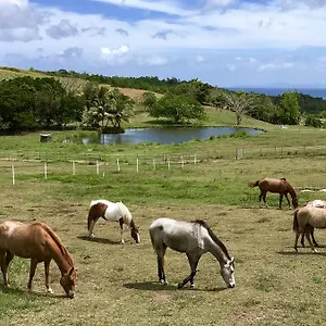  Ferienhaus La Ferme Des Etangs Martinique