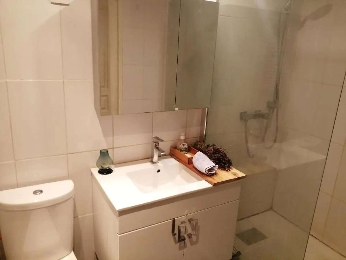 Loft Viarhona, Grand Loft En Centre-Ville Lyon Homestay