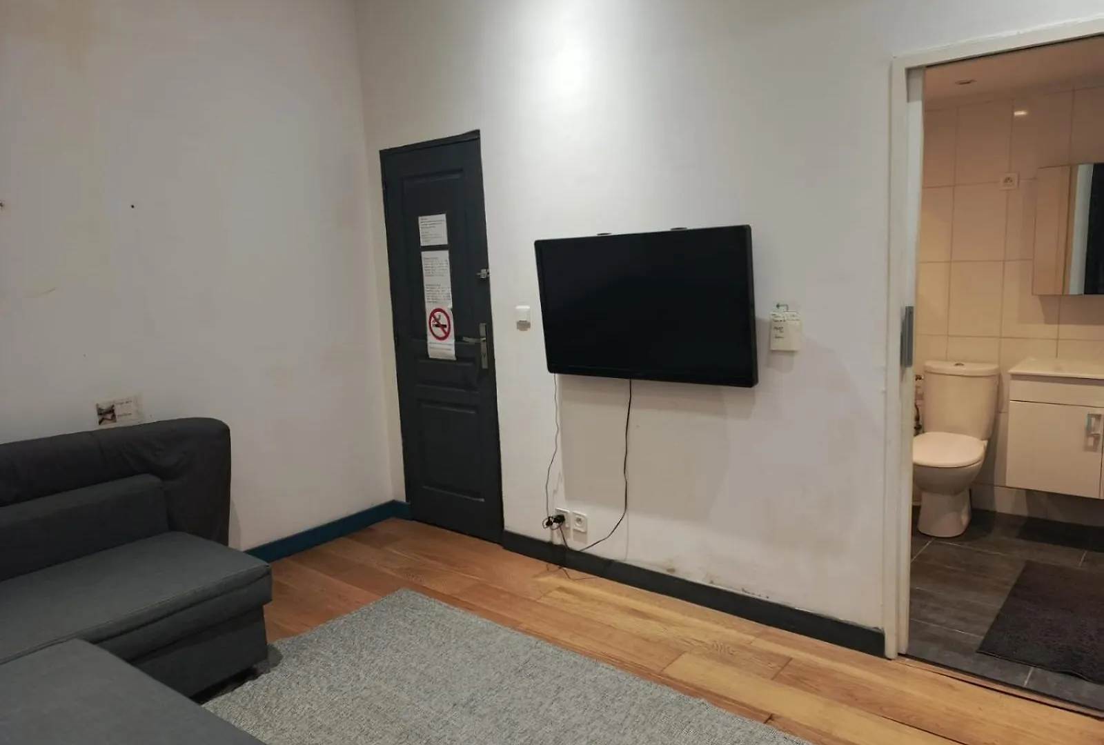 民宿 Loft Viarhona, Grand Loft En Centre-Ville 里昂