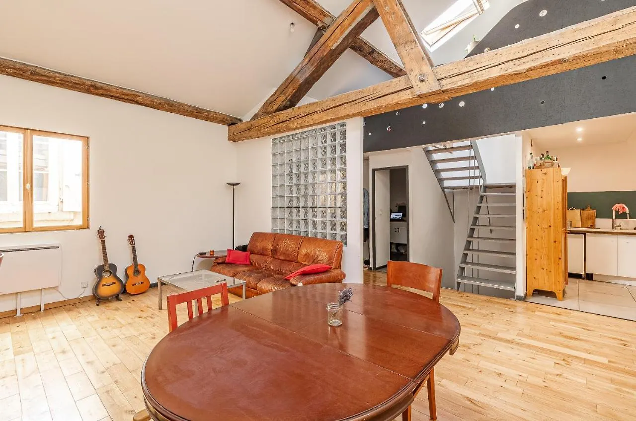 Homestay Loft Viarhona, Grand Loft En Centre-Ville Lyon France
